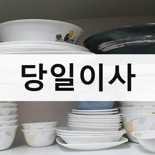 인천 북부 당일이사 포장이사